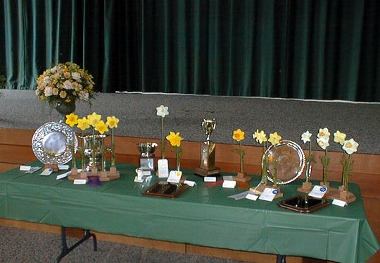 Fortuna Show Awards Table