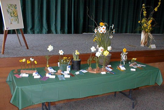 Fortuna's Second Awards Table